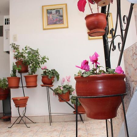 Kennedy Guest House Cusco Exterior foto