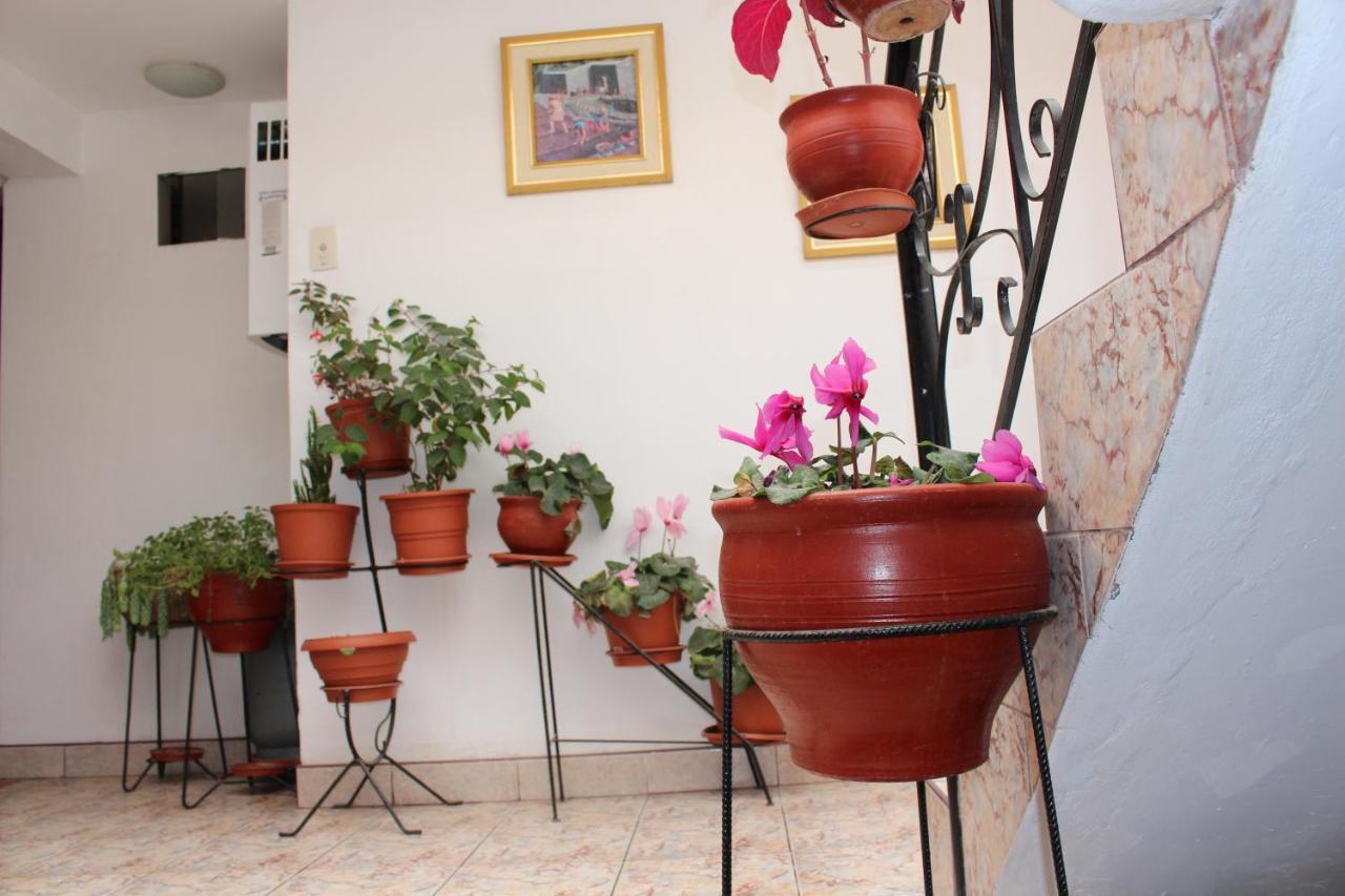 Kennedy Guest House Cusco Exterior foto